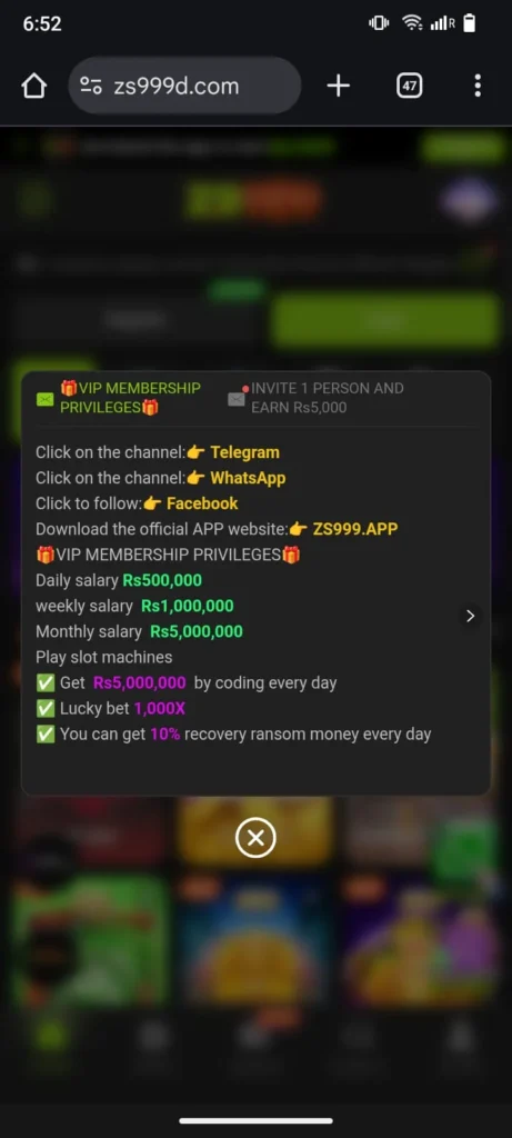 zs999 social channels